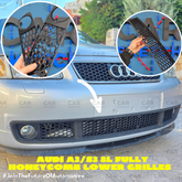 Audi S3 8L Custom Fully Honeycomb Lower Grilles